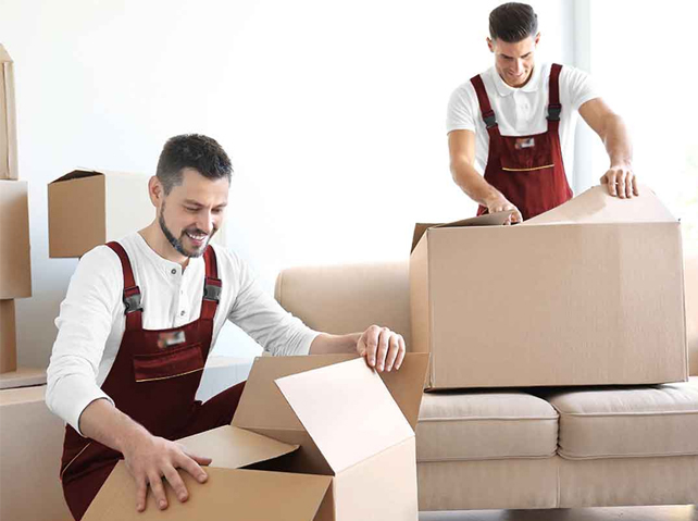  Triveni Packers and Movers team